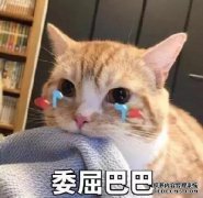 这才是有态度有内涵的新时代“辣妈”该有的样子！