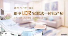 重磅！在“家”就能生孩子 ?! 和平妇产LDR家庭式一体化产房来啦！